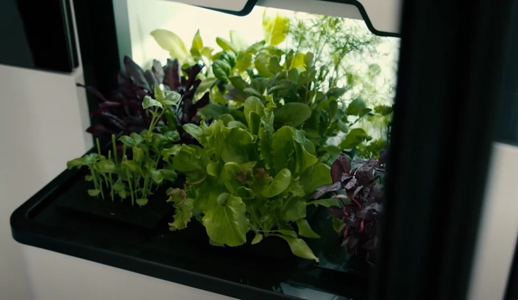 Underground Farm Produces 2 Tons Of Food A Month, Insider Tech