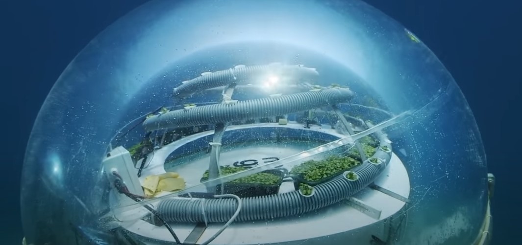 The Italian Farm That's 8 Meters Below The Sea, Insider Tech