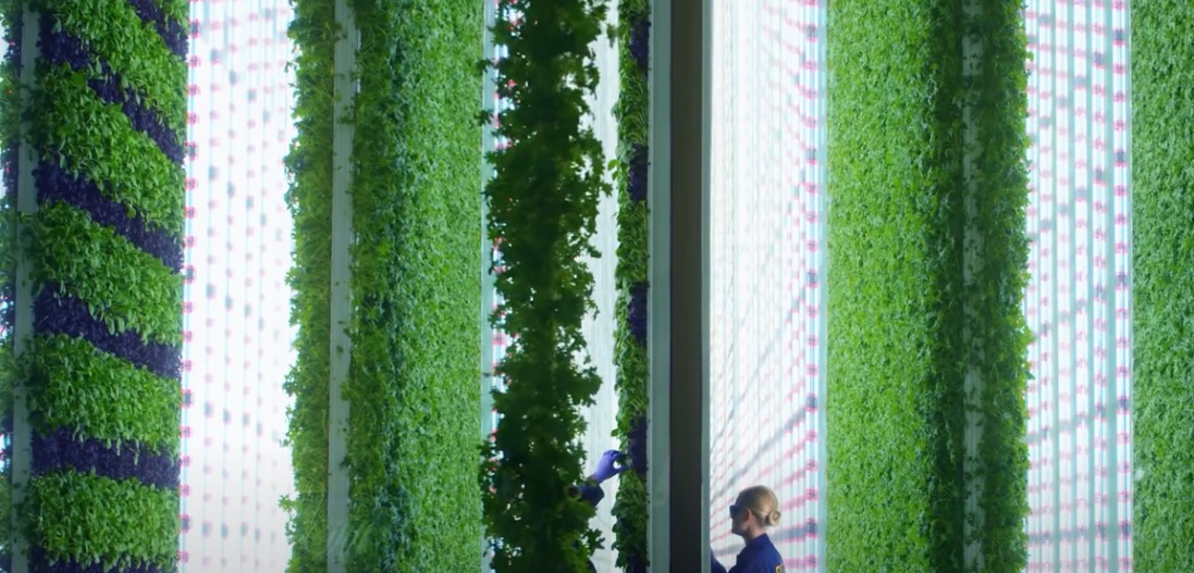 Vertical farms could take over the world | Hard Reset by Freethink, Freethink